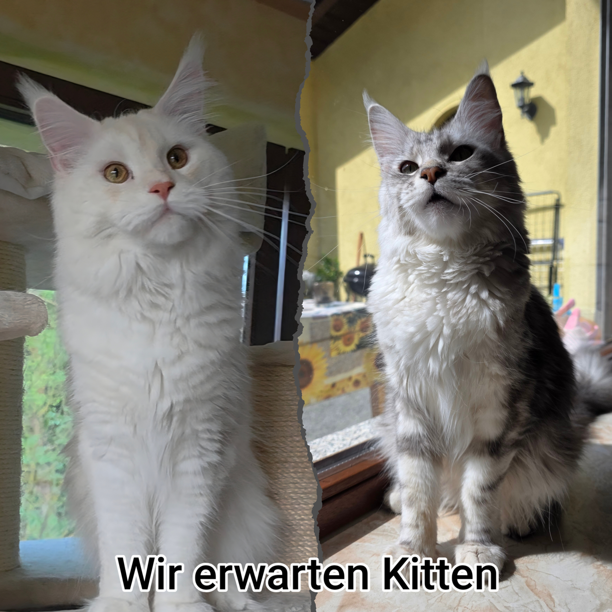 [Kiana und Brian]